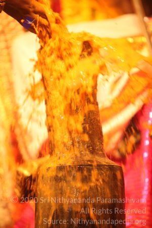 20150219 Photo 3028 1 ay4XvkXlFFqPxIcpbchw6wpolRaQ3m7.JPG