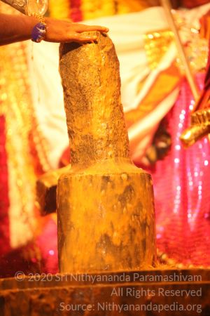 20150219 Photo 3032 1xTnzTGwZSaTL5iEKztH73ukuvy1SsngA.JPG