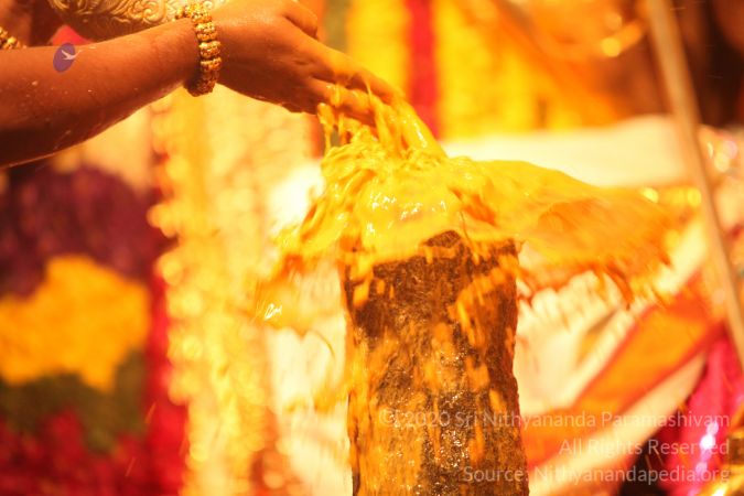 20150219 Photo 3037 1LYgNVTq96sGHmS5SQjsn03G0DkjT-nvp.JPG