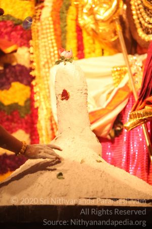 20150219 Photo 3097 136k15YV-VZgZB8Wv-L2eXyHzl8um-VV8.JPG