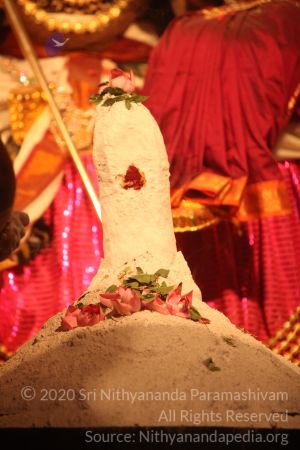 20150219 Photo 3109 1Z jWuXFUR8KM-QdDHVPS1rxvSoprZRiZ.JPG