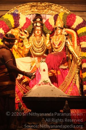 20150219 Photo 3112 1o5-T1yeDwZgSSKkAslzr1PHlCTJV8YTD.JPG