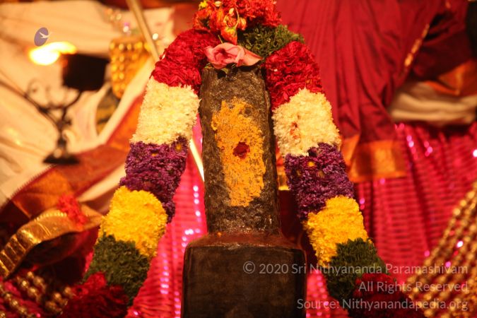 20150219 Photo 3125 1ka2LpXW6HbPK2DkIAj40112O9zpUPwkx.JPG