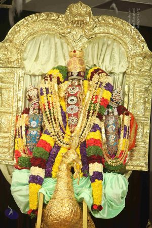 20150224 Photo 1002 1ZbdOd5rVb P1oFfEhkFNjXKFx2cNAl8X.JPG