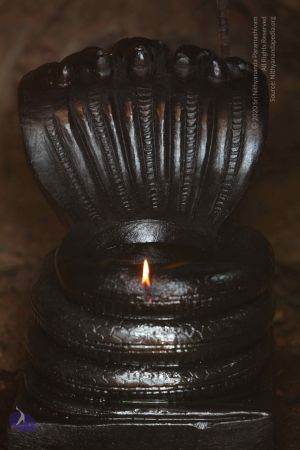 20150421 1069 CMP WM.jpg