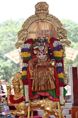 20150421 1083 CMP WM.jpg