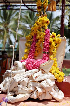 20150421 1128 CMP WM.jpg