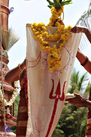 20150421 1129 CMP WM.jpg