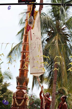 20150421 1141 CMP WM.jpg