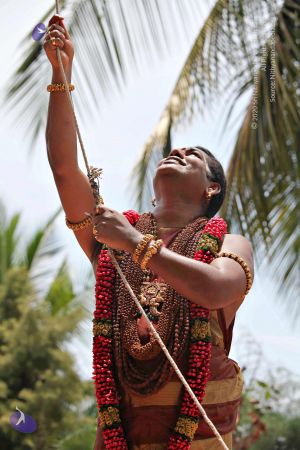 20150421 1153 CMP WM.jpg