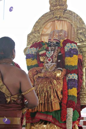 20150421 1184 CMP WM.jpg