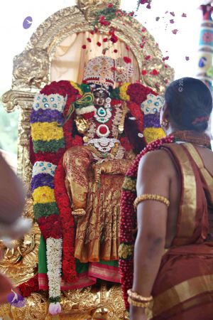 20150421 1186 CMP WM.jpg