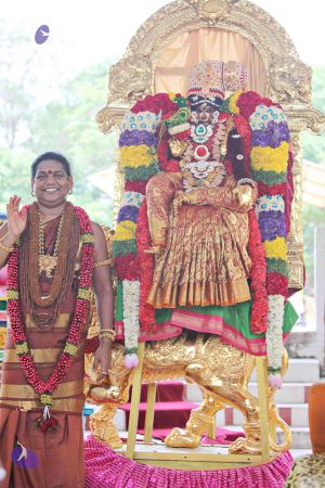 20150421 1193 CMP WM.jpg