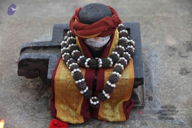 20150421 Photo 1023 1TN16pU9yA9v7Mj1UdJY56QOWtgNC tW0.JPG