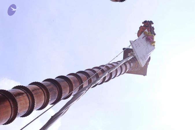 20150421 Photo 1115 1zPPkkkDFKx-huMwLMvKCIIWjVD5zHiBz.JPG