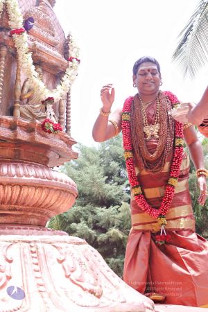 20150421 more 1117 CMP WM.jpg