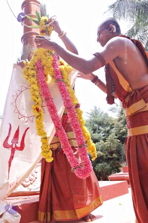 20150421 more 1125 CMP WM.jpg