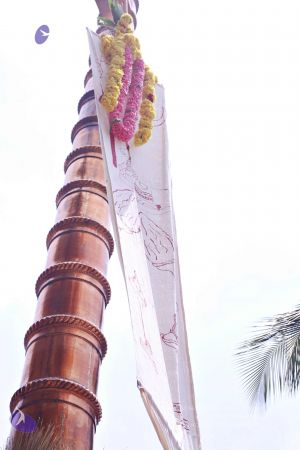 20150421 more 1144 CMP WM.jpg