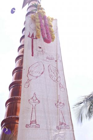 20150421 more 1145 CMP WM.jpg