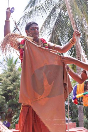 20150421 more 1153 CMP WM.jpg