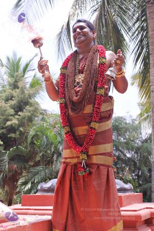 20150421 more 1196 CMP WM.jpg