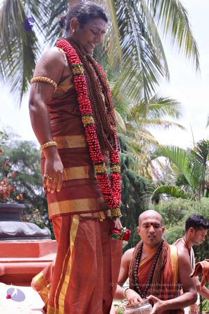 20150421 more 1201 CMP WM.jpg