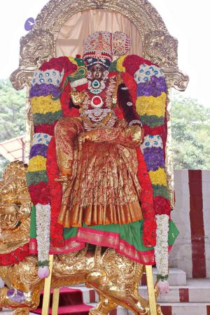 20150421 more 1203 CMP WM.jpg