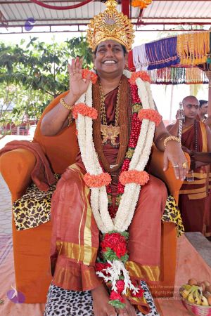 20150421 more 1222 CMP WM.jpg