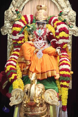 20150423 Photo 1004 1ZCrFTMGVR9rYZu66RdC5Nvs5e91TWRnZ.JPG