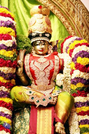 20150425IMG 2803 CMP WM00100.jpg