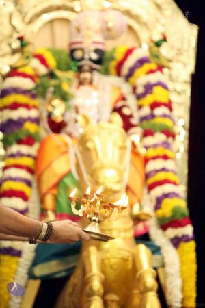 20150425IMG 2847 CMP WM00100.jpg