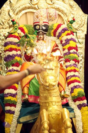 20150425IMG 2848 CMP WM00100.jpg