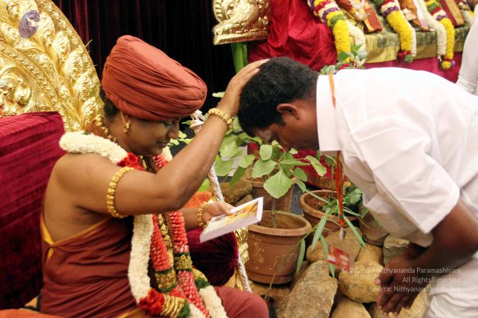 20150425IMG 2925 CMP WM00100.jpg