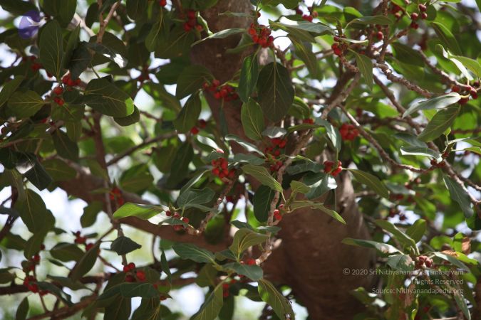 20150501 Photo 1194 1iJhM79c8baxOdp-2p0UTT9FrIu9hivHv.JPG