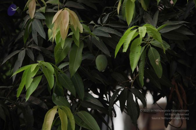 20150505 Photo 1005 18BwLDqm ELH0XHgFWoWd zQ39iaa5u3q.JPG