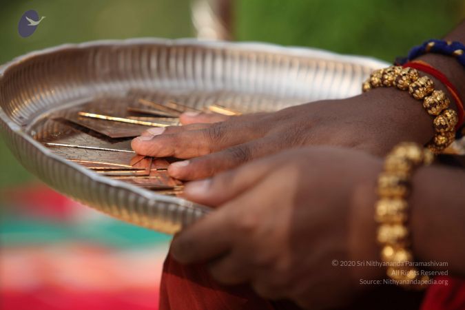 20150505 Photo 1099 1Oy5mC u8K33j57zhCXglVRBxFhWhUipy.JPG