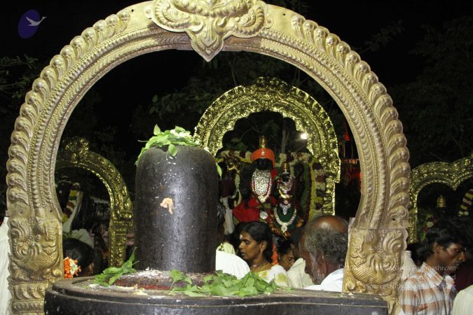 20150505 Photo 1184 1xDHR XAO4Mb WIRfSNuiVKwOadeMGvrk.JPG