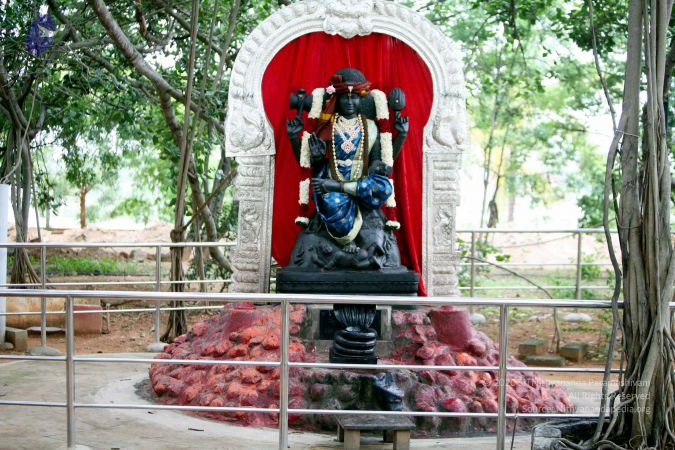 20150620IMG 0182 CMP WM01.jpg