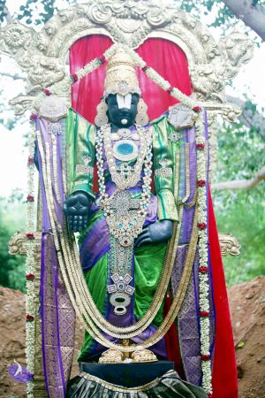 20150620IMG 0188 CMP WM01.jpg