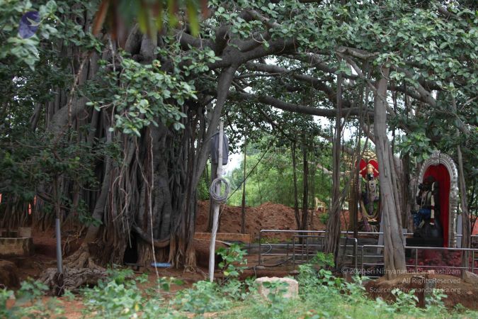 20150620 Photo 1037 1mxuRp71EtKAadYmDj vgWnTSxCsGme03.JPG