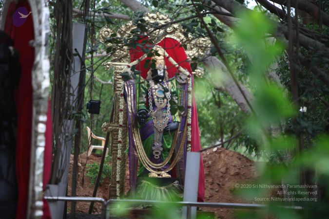 20150620 Photo 1038 13JqIbLv97vcbEZw9HXNpj1WhAdVkDCmg.JPG