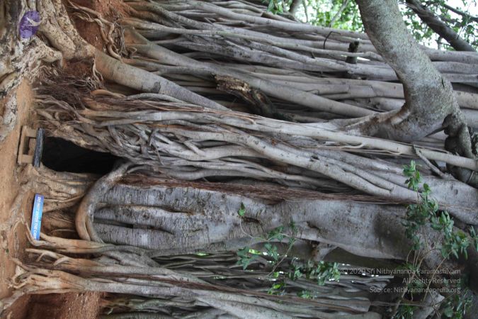 20150620 Photo 1040 1oCuQPDd9b4DYQfapug7CsdQHhQV5di7v.JPG