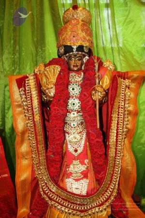 20150711 Photo 1004 1FtUPtT N-dUf0qhpFnAbgxpatn9oe68i.JPG