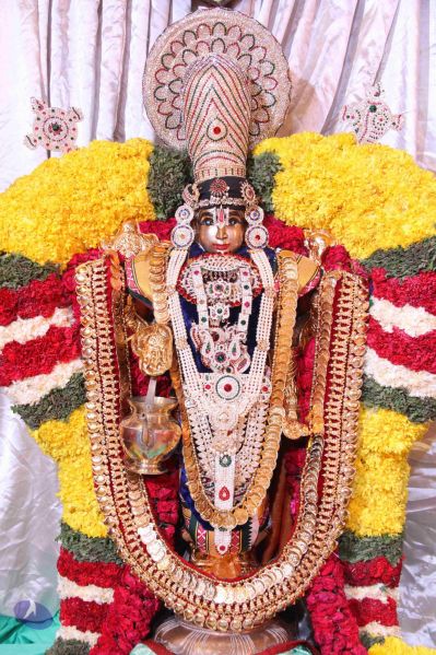 File:20150713 7893 CMP WM.jpg