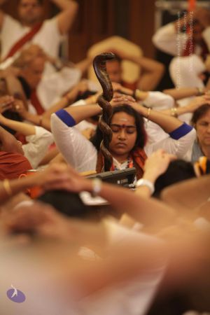 20150716 Photo 1219 1rDRfvrC8SaMKw7YZ0gjKLlDIZLKujyje.JPG