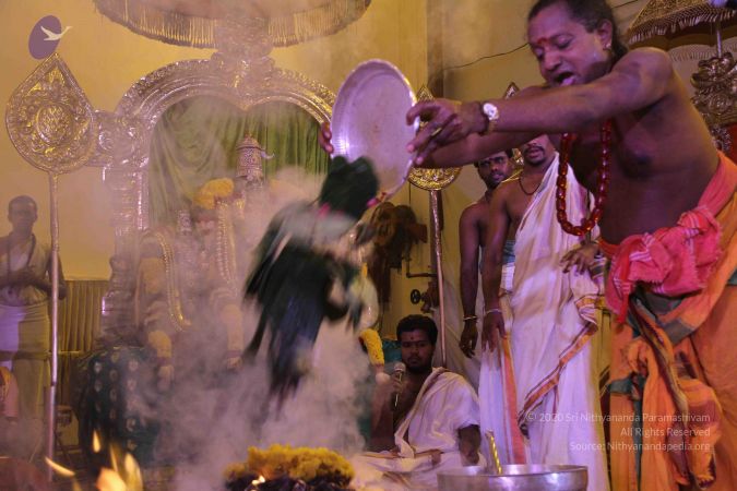 20150716 Photo 1413 1kL5IpoN2kq4WteR NS0jpnpKsSzlXxO0.JPG