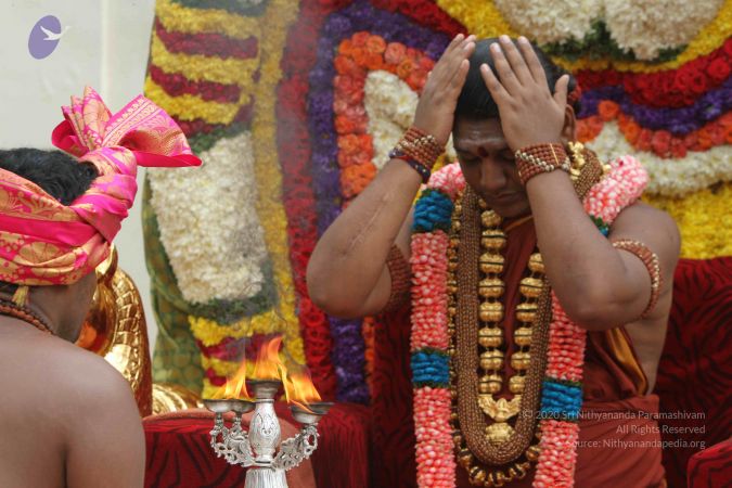 20150718 Photo 1493 1c-POGM3HsTD3ug82erGXlVpszeP3gS22.JPG