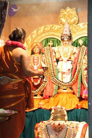 20150724 Photo 1003 1YhdTg4SW3e8hBMY o7gruJfhSrR0JzxJ.JPG