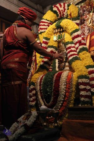 20150731 Photo 1023 1h1tpeuhB0U4lKT7VEEueI37Fd72NMDbD.JPG