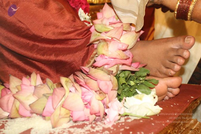 20150731 Photo 1644 17HRVAUxM8uQDD79Llwso28gNEY5QvZ6S.JPG